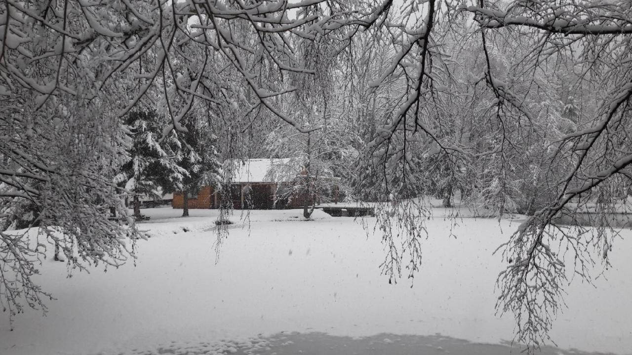 Insolite Chalet De Peche Serenite - Bien Etre Ban-sur-Meurthe-Clefcy Luaran gambar