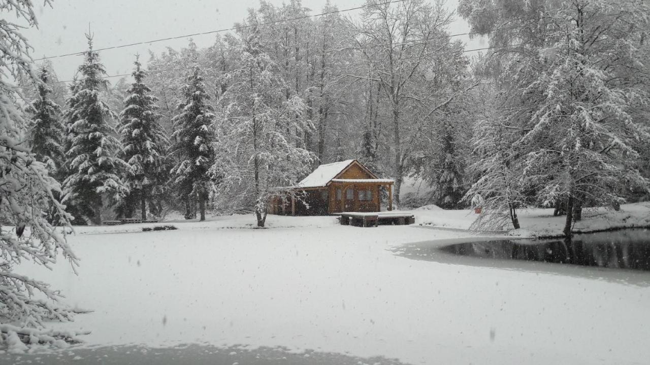 Insolite Chalet De Peche Serenite - Bien Etre Ban-sur-Meurthe-Clefcy Luaran gambar