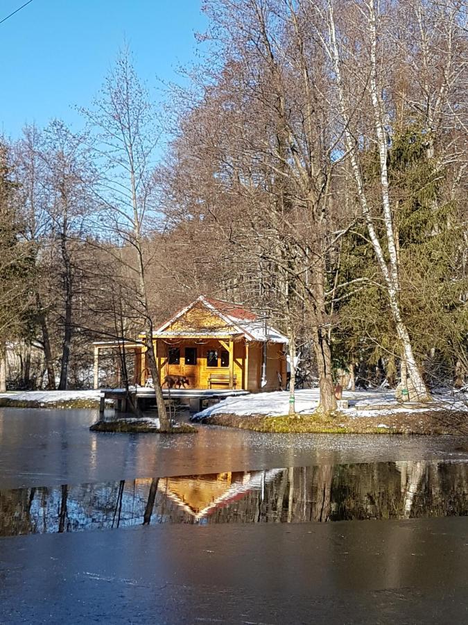 Insolite Chalet De Peche Serenite - Bien Etre Ban-sur-Meurthe-Clefcy Luaran gambar