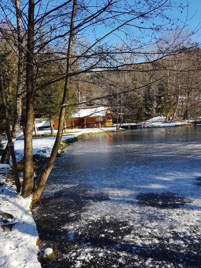 Insolite Chalet De Peche Serenite - Bien Etre Ban-sur-Meurthe-Clefcy Luaran gambar