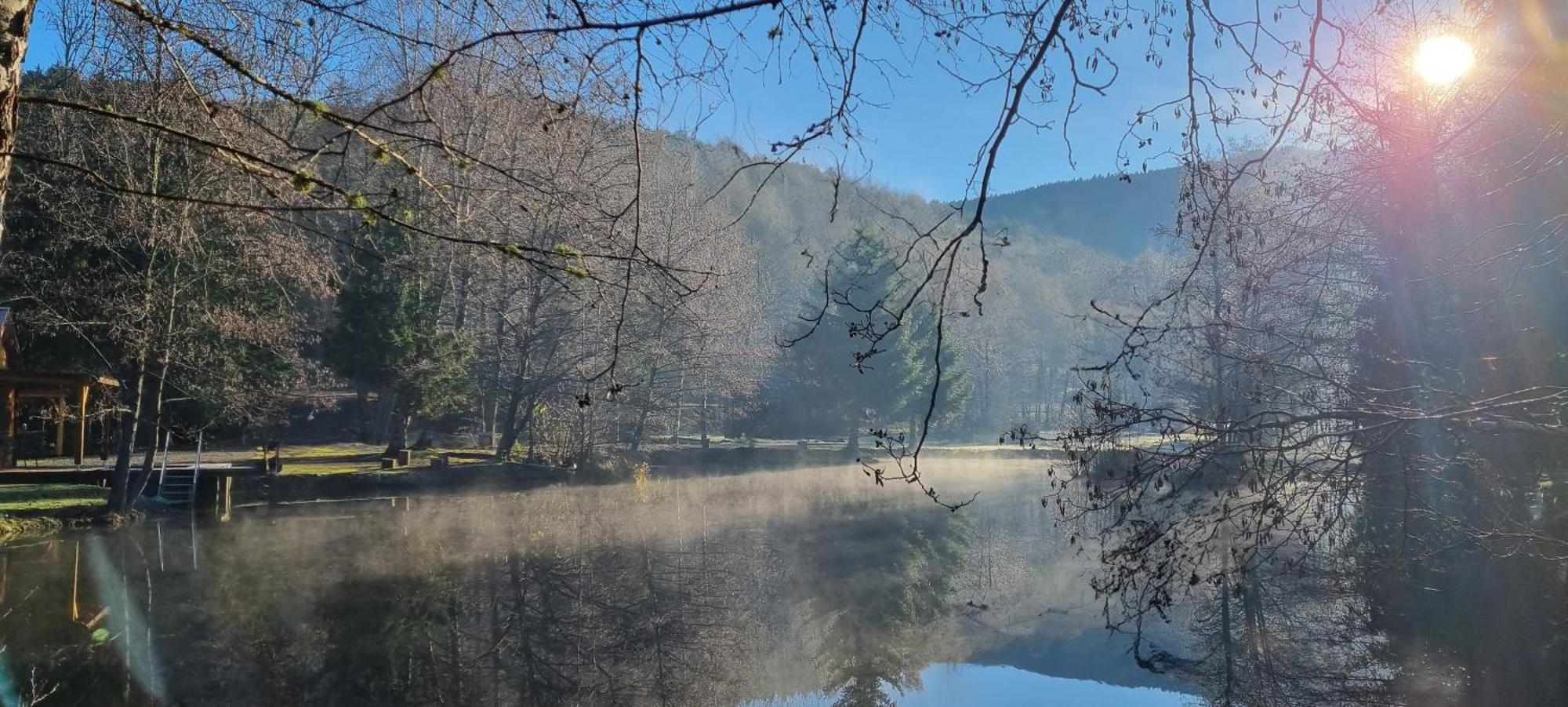 Insolite Chalet De Peche Serenite - Bien Etre Ban-sur-Meurthe-Clefcy Luaran gambar